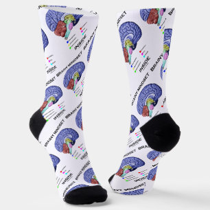 Brainy Mindset Inside Anatomical Brain Attitude Socks