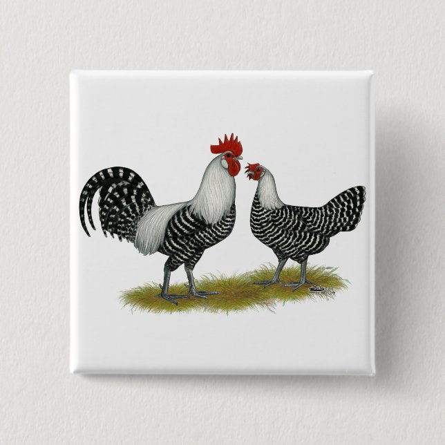 Brakel Chickens 2 Inch Square Button (Front)
