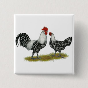Brakel Chickens 2 Inch Square Button