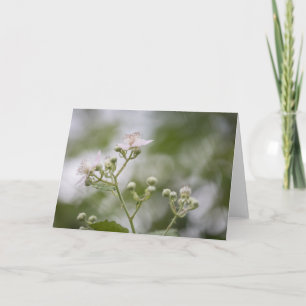 Bramble Berry Close Up Nature Photo Card