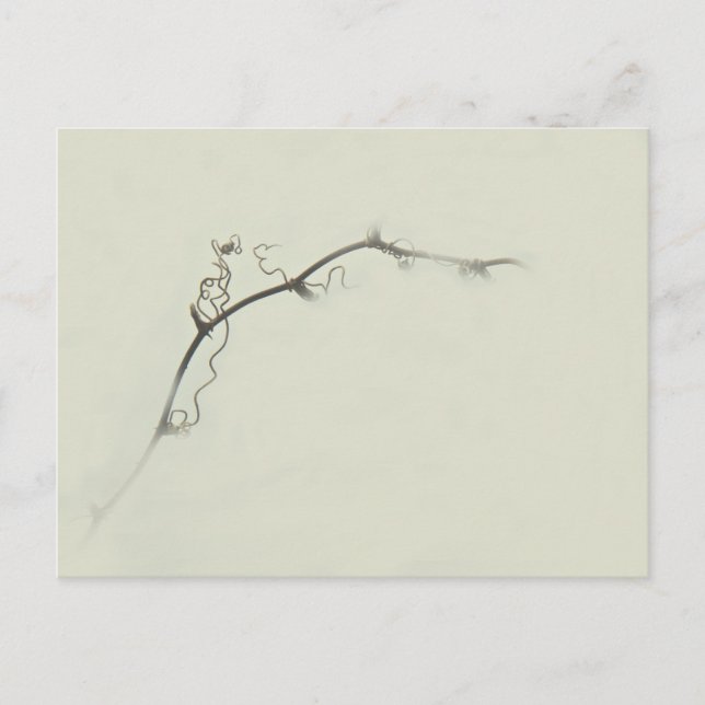 Bramble Tendrils in the Fog - Minimalism Postcard (Front)