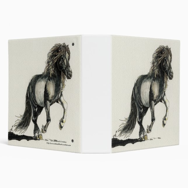 Brana Binder (Background)