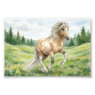 Brana Pinto Palomino Icelandic Watercolor Photo Print