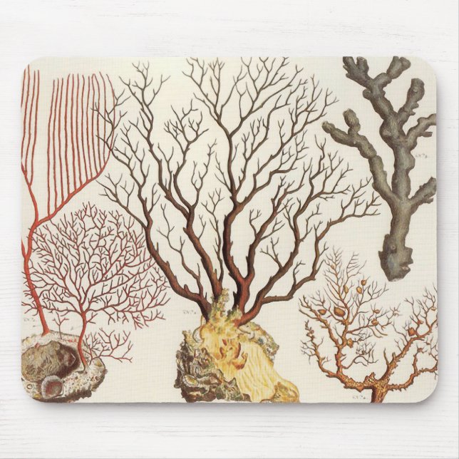 Branch Coral Nautical Beach Decor Mouse Pad (Front)