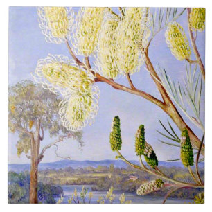 Branch of a Grevillea and View on the Swan River Tile