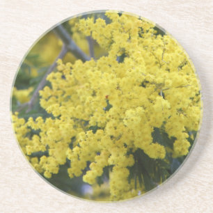 Branch of mimosa coaster