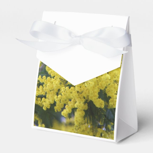 Branch of mimosa favor box (Front Side)