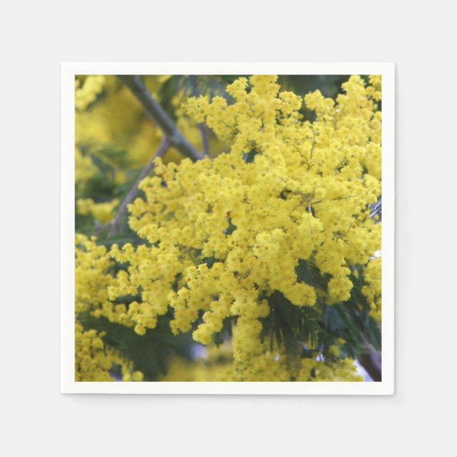 Branch of mimosa napkin (Front)