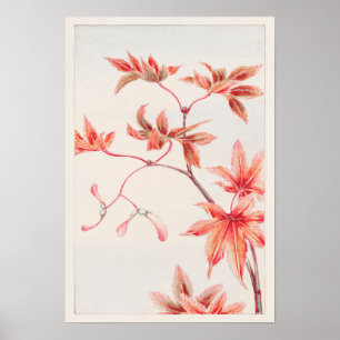 Branch of Momiji Maple Tree by Megata Morikaga Poster