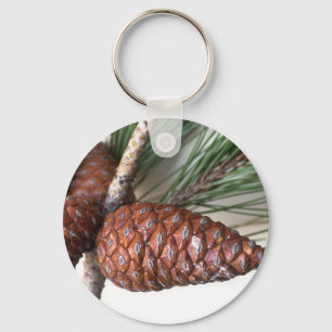 Branch of pine with the pinecone keychain