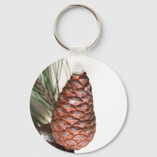 Branch of pine with the pinecone keychain