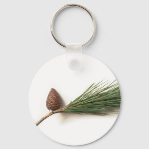 Branch of pine with the pinecone keychain
