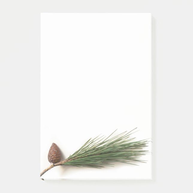 Branch of pine with the pinecones post-it notes (Front)