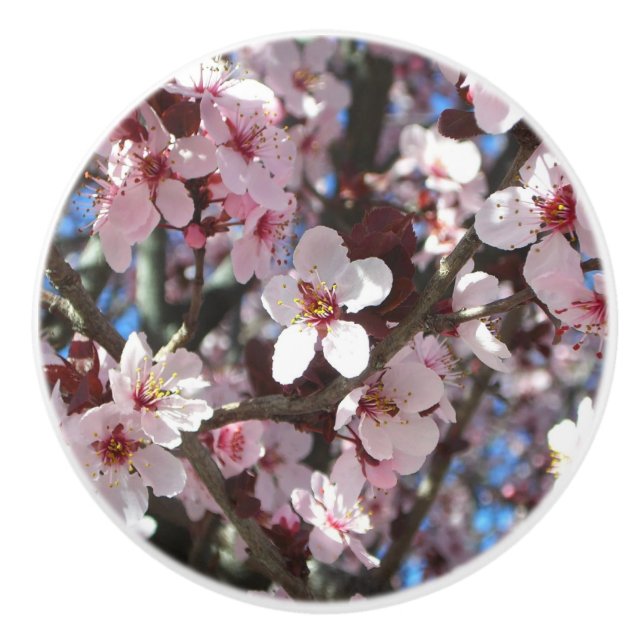 Branch of Pink Blossoms Spring Floral Ceramic Knob (Front)