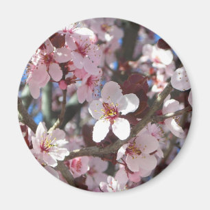Branch of Pink Blossoms Spring Floral Magnet