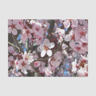 Branch of Pink Blossoms Spring Floral Tissue Paper