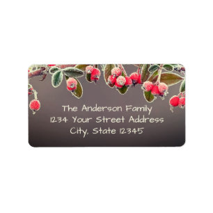 Branch of Winter frosted red berries Label