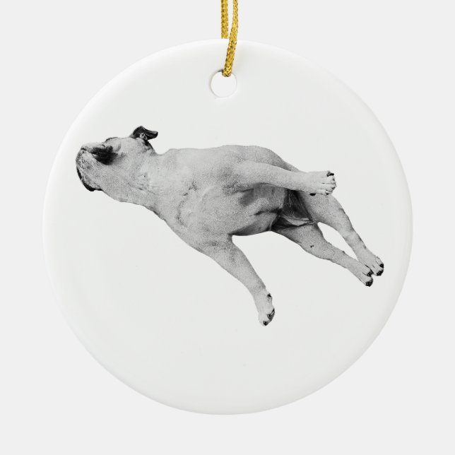 Branch-Side Dream Ceramic Ornament (Front)