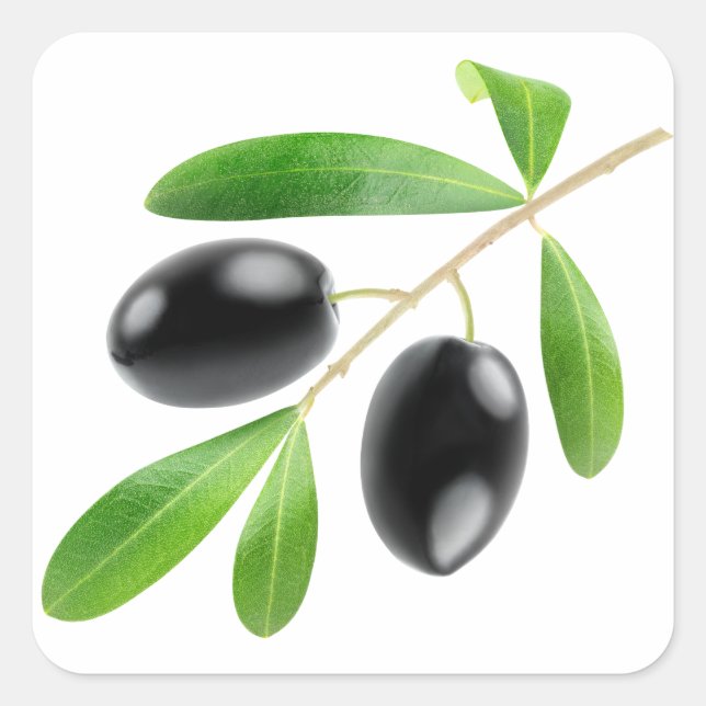Branch with black olives square sticker (Front)