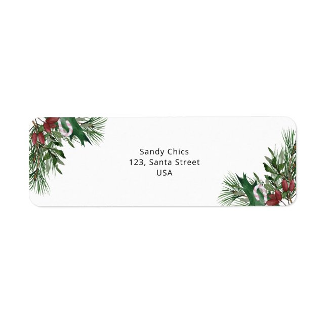 branche à feuillage persistant (Devant)