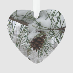 Branche des pins neigeux Photographie de la nature