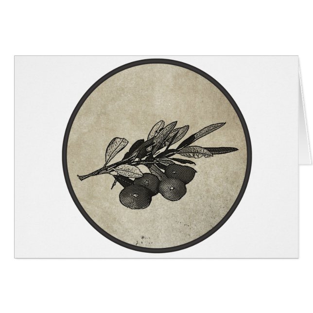 Branche d'olivier (Devant horizontal)