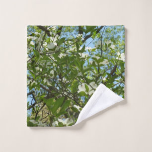 Branche of Dogwood Blossoms Spring Trees