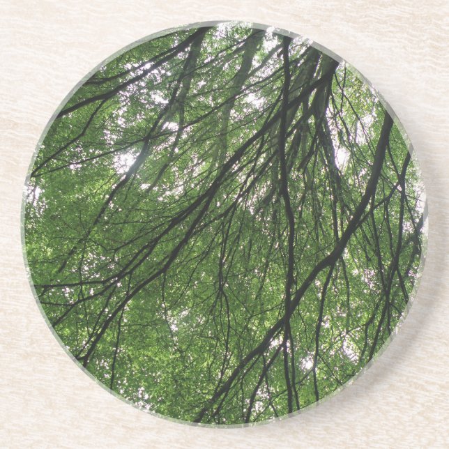 Branches and Leaves Coasters (Front)