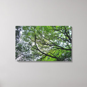 Branches and Leaves III Canvas Print