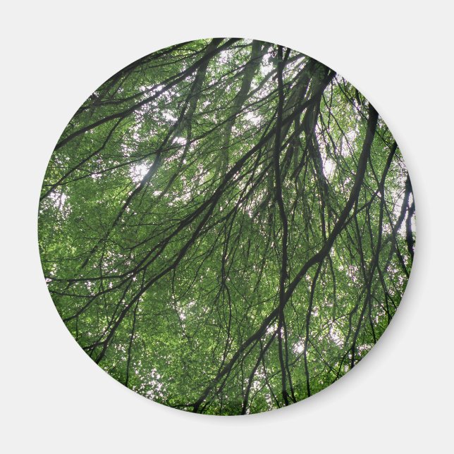 Branches and Leaves Magnet (Front)
