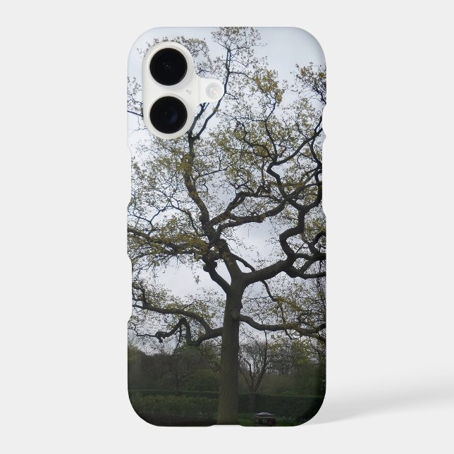 Branches Apple iPhone X, Barely There PhoneCase (Back)