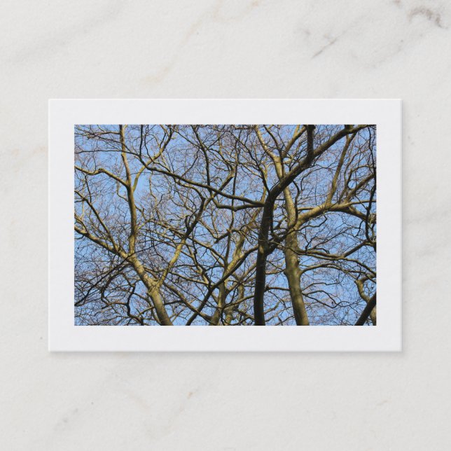 Branches (Bordered) Business Card (Front)