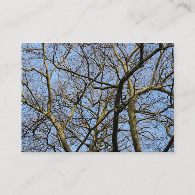 Branches Business Card (Front)