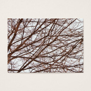 Branches d'arbre dans l'automne