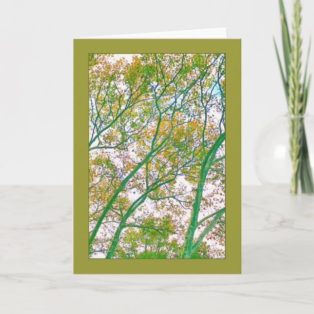 Branches d'automne Abstraite carte de voeux vierge (Devant)