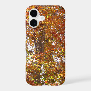 Branches de feuilles orange Nature automnale