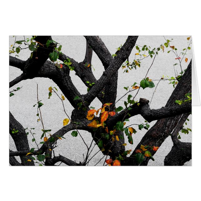 Branches de l'arbre d'automne (Devant horizontal)