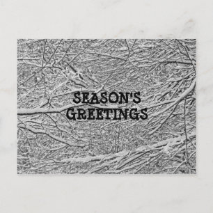 Branches de neige Salutation Carte postale