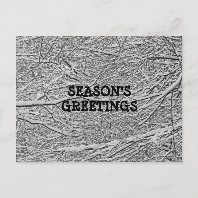 Branches de neige Salutation Carte postale (Devant)
