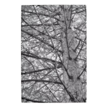 Branches de pin en noir et blanc