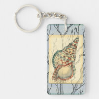 Branches des coquillages et des arbres