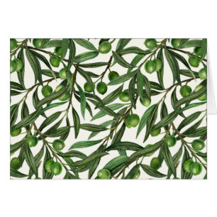 Branches d'olive sur blanc
