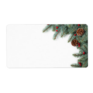 Branches du sapin argenté avec des cônes et le