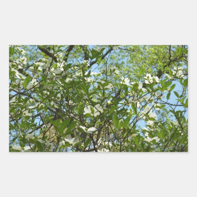 Branches of Dogwood Blossoms Spring Trees Sticker (Front)