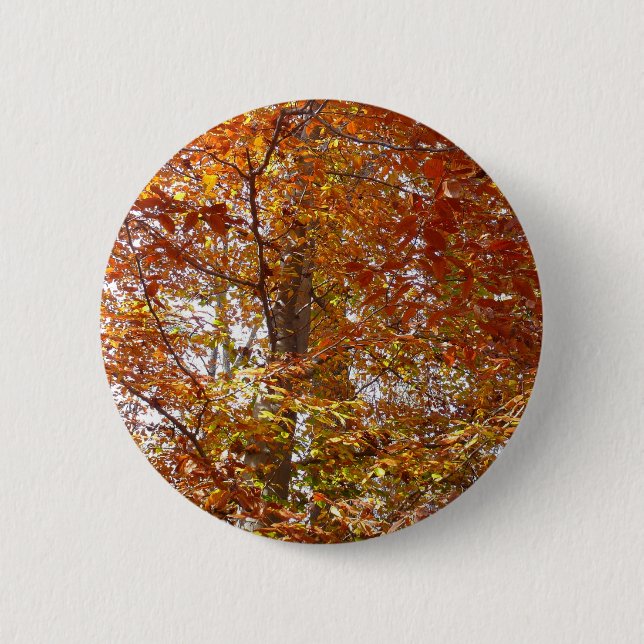 Branches of Orange Leaves Autumn Nature 2 Inch Round Button (Front)