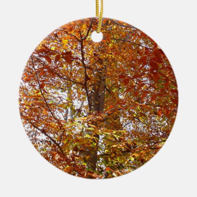 Branches of Orange Leaves Autumn Nature Ceramic Ornament (Front)