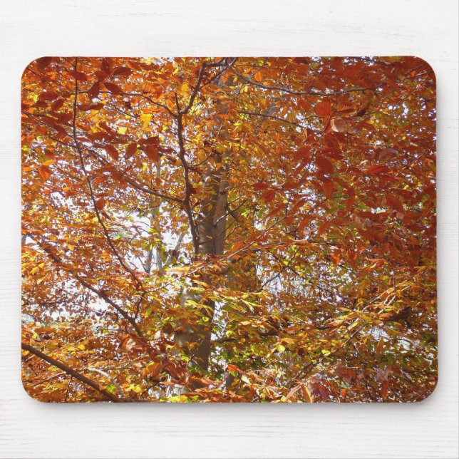 Branches of Orange Leaves Autumn Nature Mouse Pad (Front)