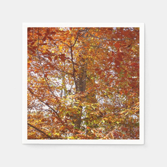 Branches of Orange Leaves Autumn Nature Napkin (Front)