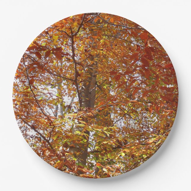 Branches of Orange Leaves Autumn Nature Paper Plate (Front)