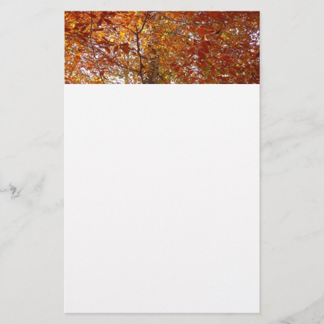 Branches of Orange Leaves Autumn Nature Stationery (Front)